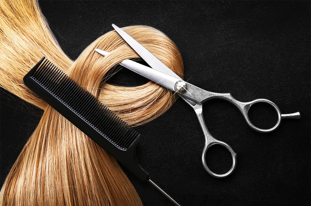 Salon Hairzstück by Melanie Willmann
