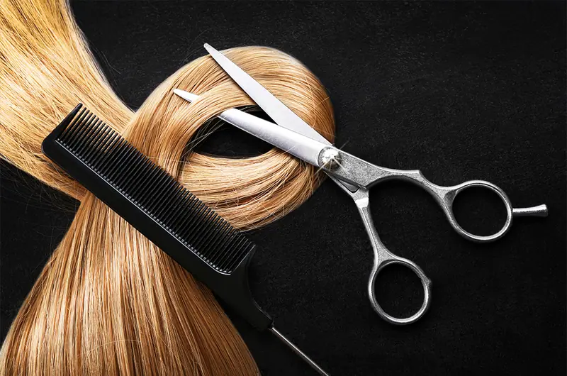 Salon Hairzstück by Melanie Willmann
