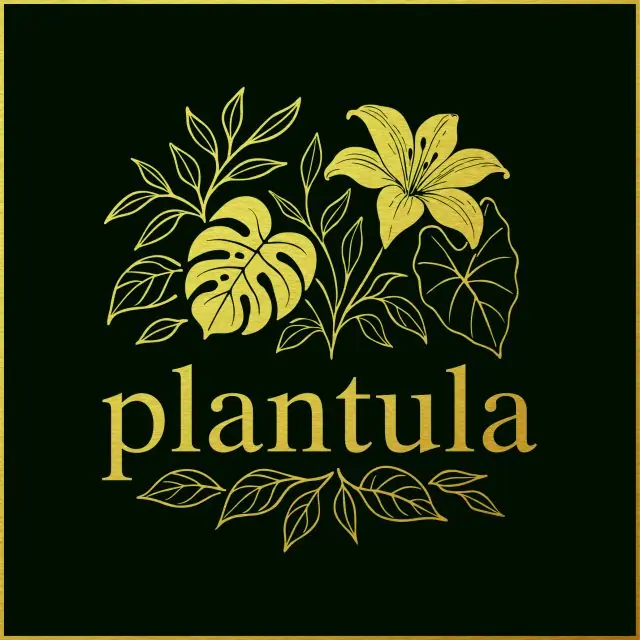 Plantula - Blumen & Deko