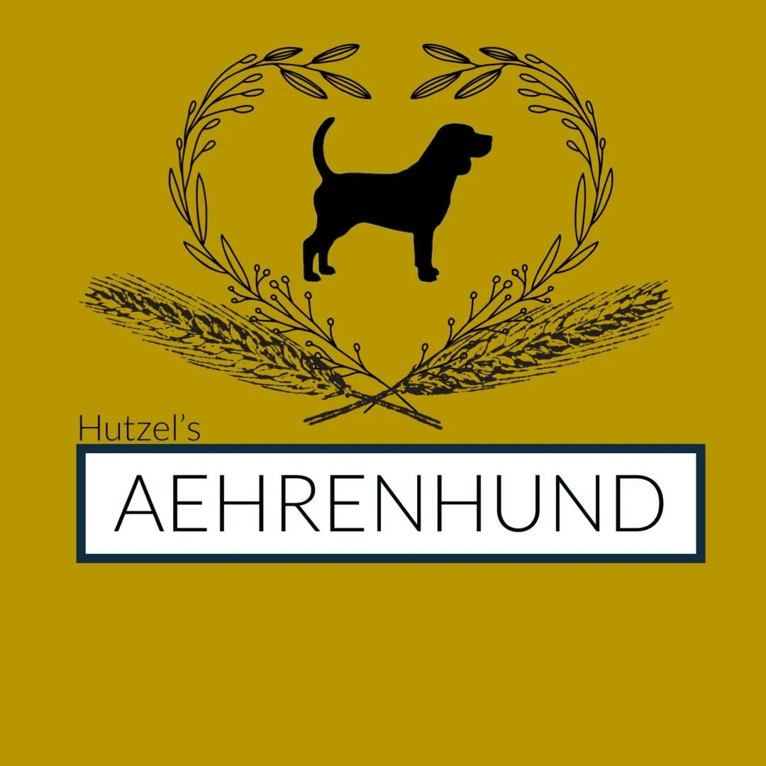 AEHRENHUND Hundebetreuung & Hundepension