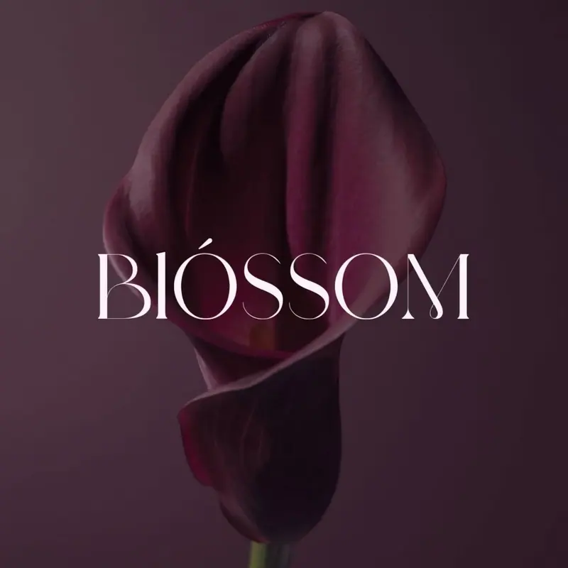 Blossom - Blumenladen