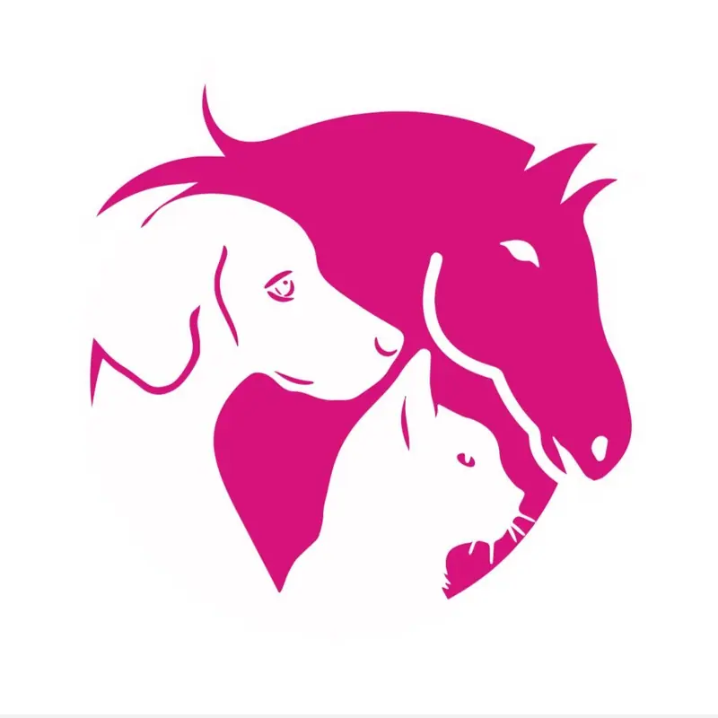 Dog Vital Plus - Tier-Rehazentrum