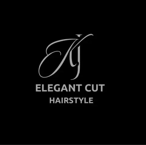 Elegant Cut Hairstyle