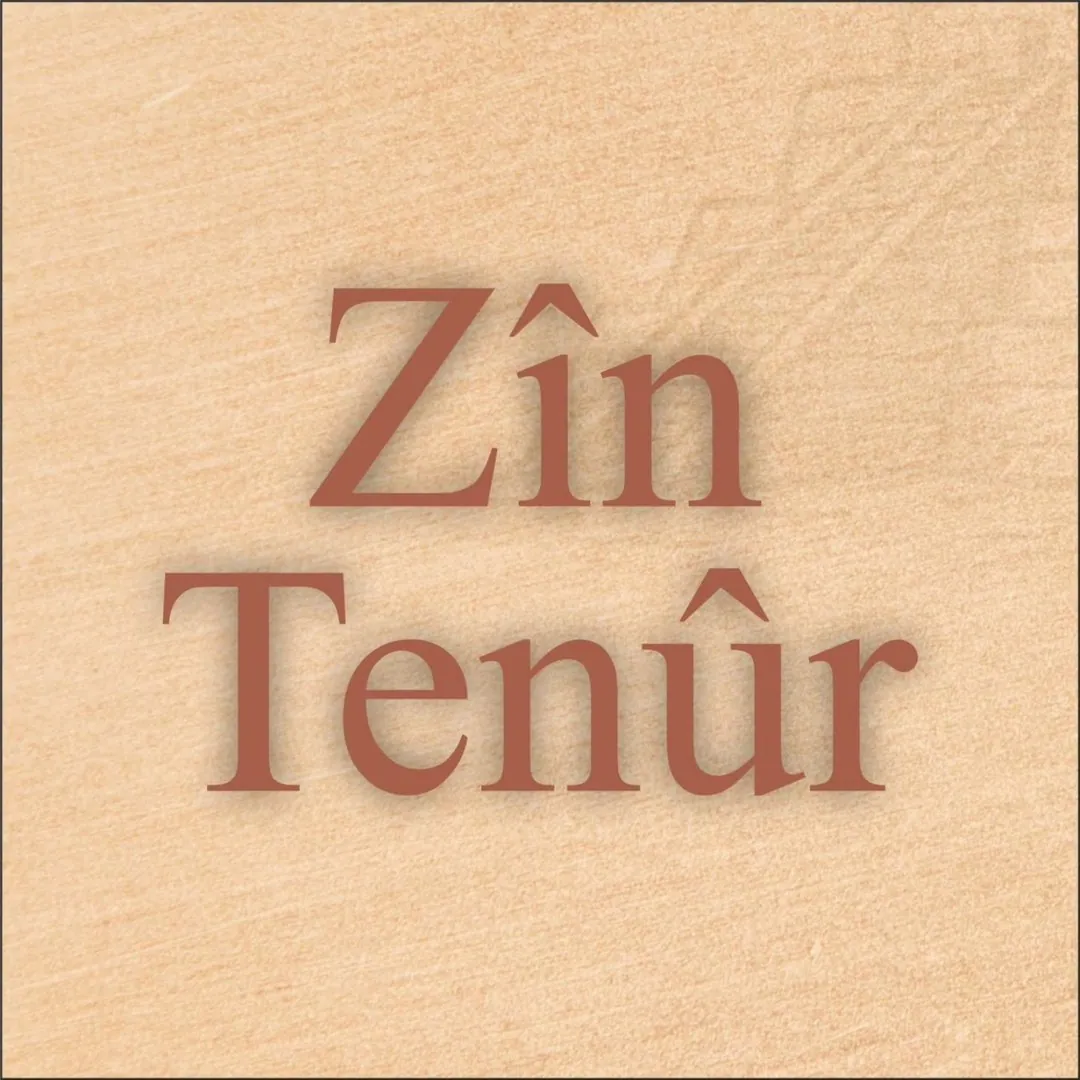 Zîn Tenûr - Café