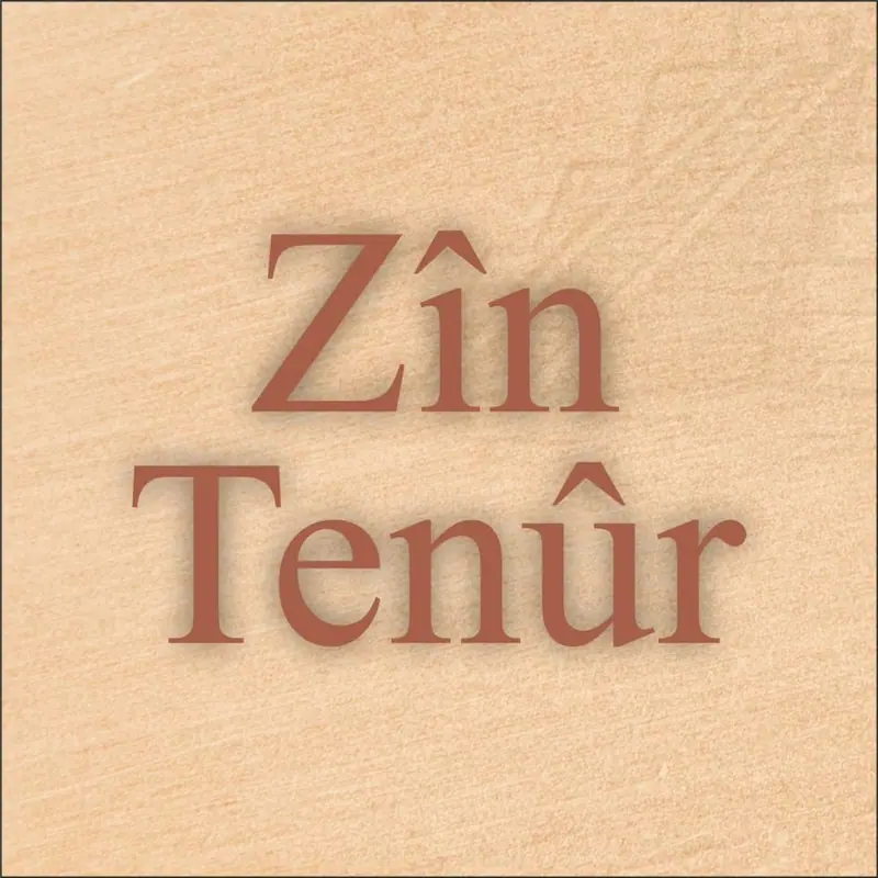 Zîn Tenûr - Café