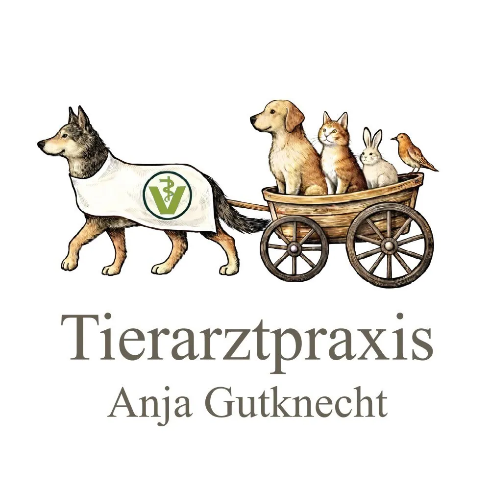 Tierarztpraxis Anja Gutknecht
