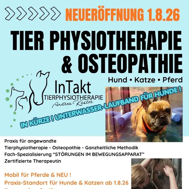 Tier Physiotherapie & Osteopathie