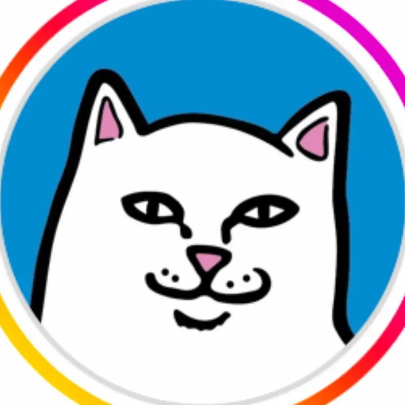 RipnDip