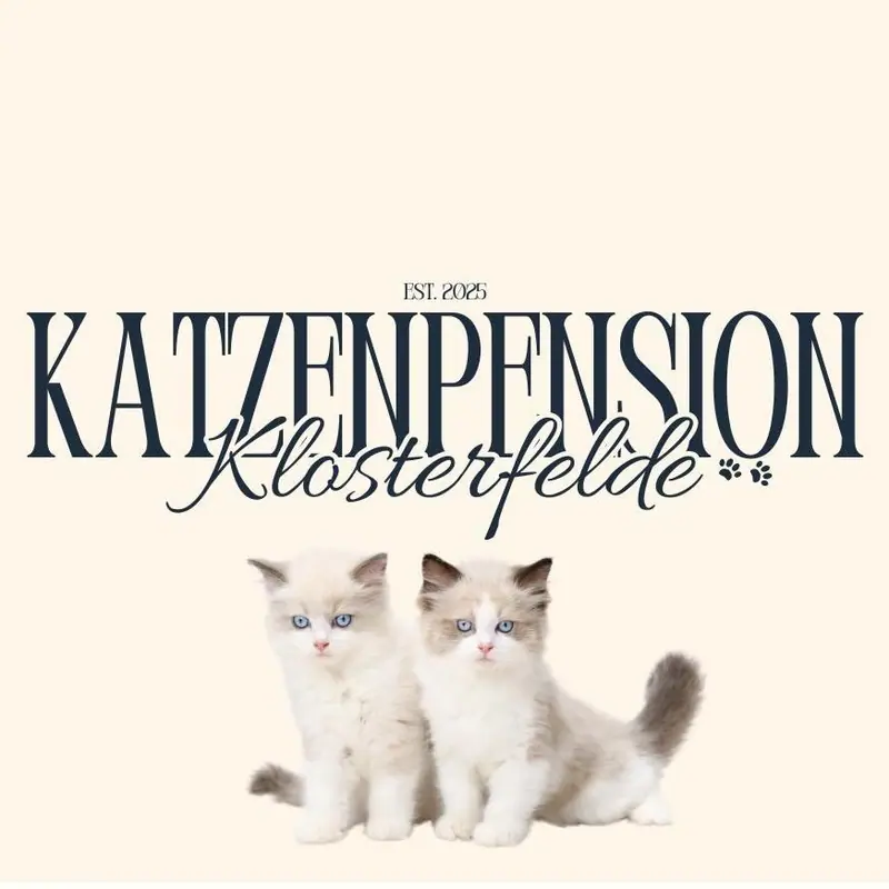 Katzenpension Klosterfelde