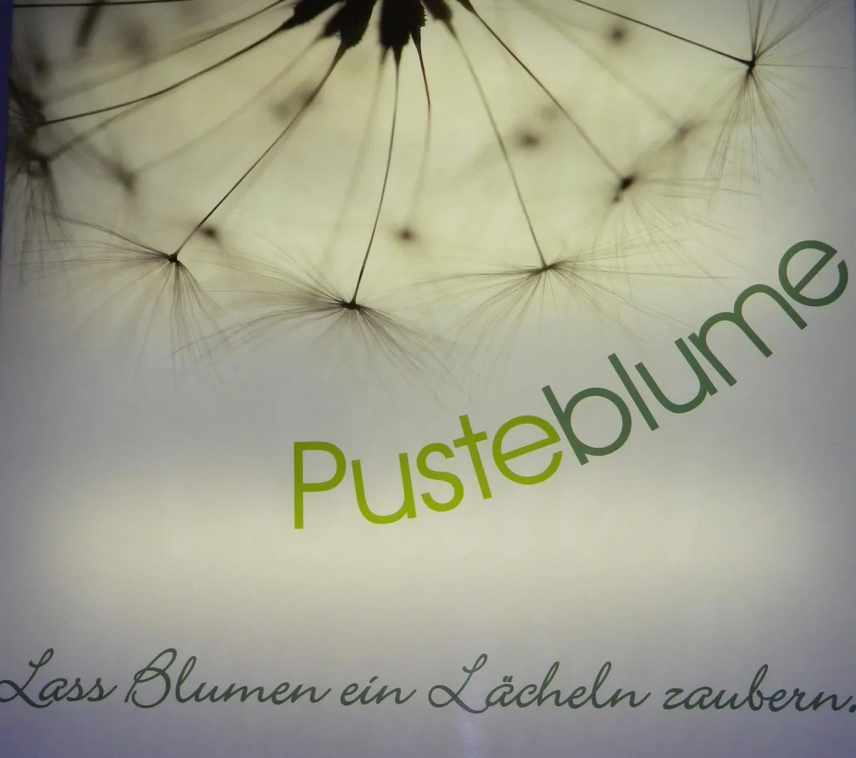 Pusteblume