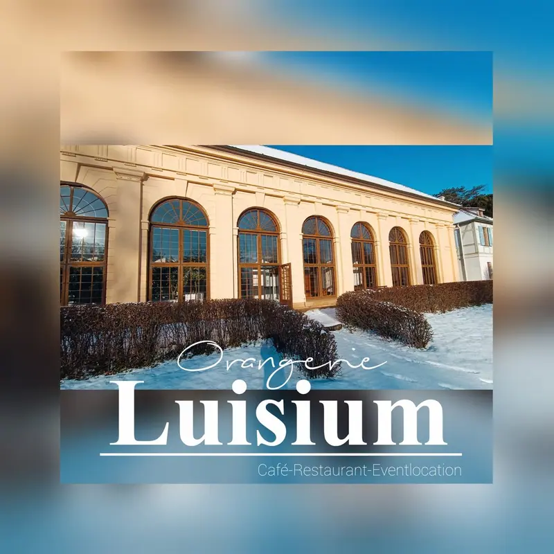 Orangerie Luisium - Restaurant